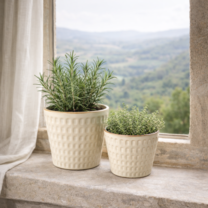 Two potted plants on a windowsill with a scenic view outside.