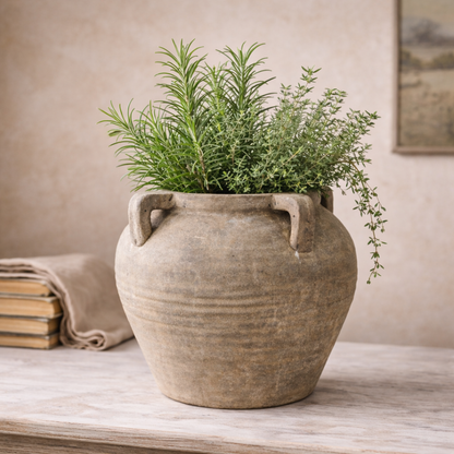 Terracotta pot with green herbs on a wooden surface