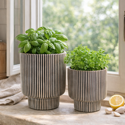Two striped planters with green plants on a windowsill with a lemon and garlic cloves.