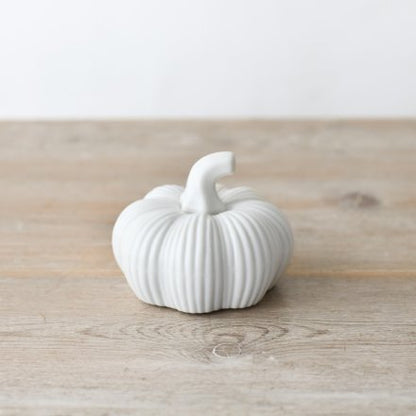 white pumpkin small on a wooden table