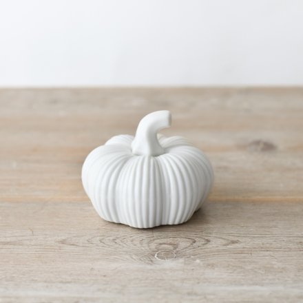 white pumpkin small on a wooden table