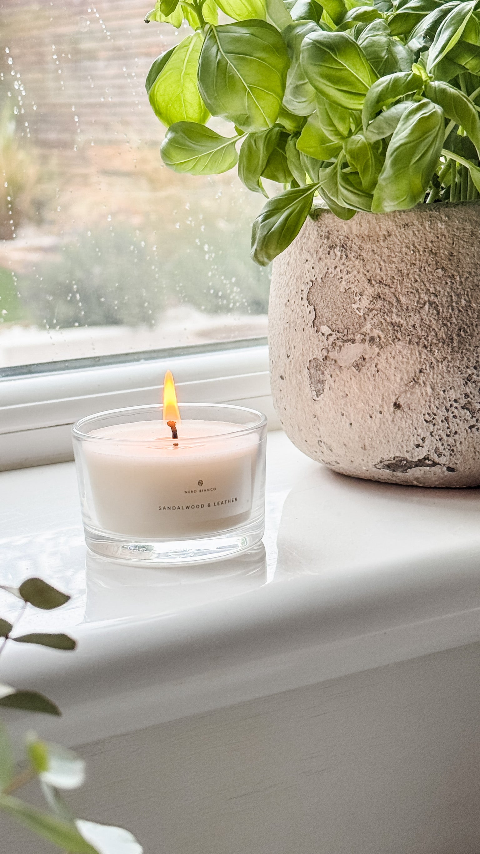 Votive Candle Sandalwood & Leather on window ledge with potted basil